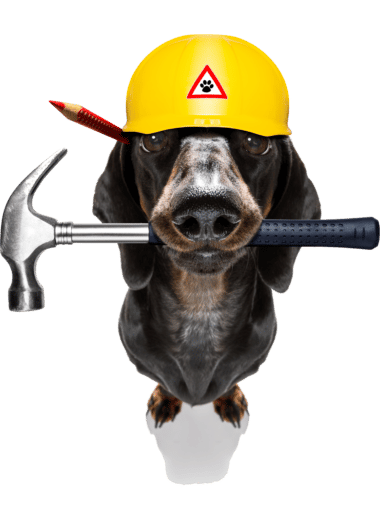 Dog with hammer